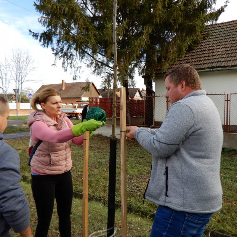 Közösségi faültetés Berettyóújfaluban 23